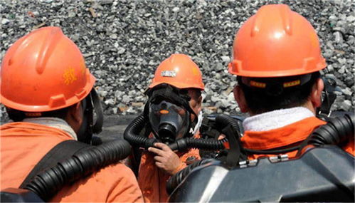 中心鎮(zhèn)白馬河邊濕地