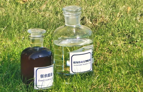 地溝油變身高性能航空燃料 國(guó)產(chǎn)大飛機(jī)試飛成功背后的綠色動(dòng)力革命